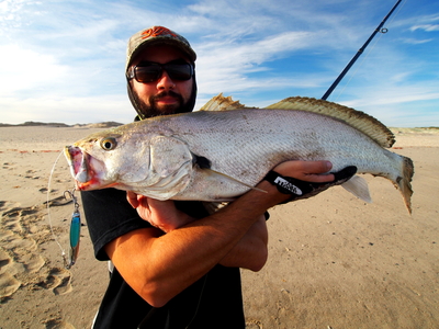Rick with mulloway on the Brighton blue